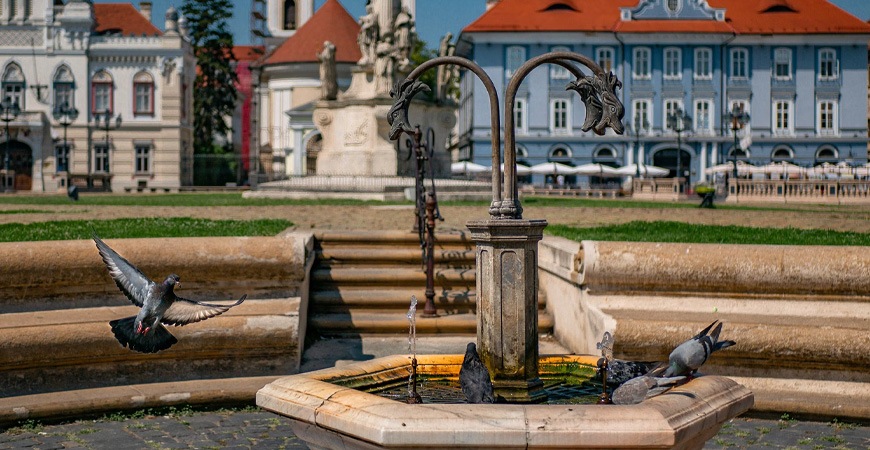 Obiective Turistice Timișoara